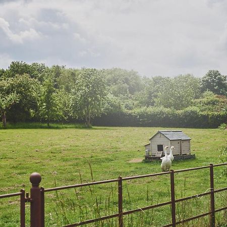 Apple Tree Cottage Beckford Bagian luar foto