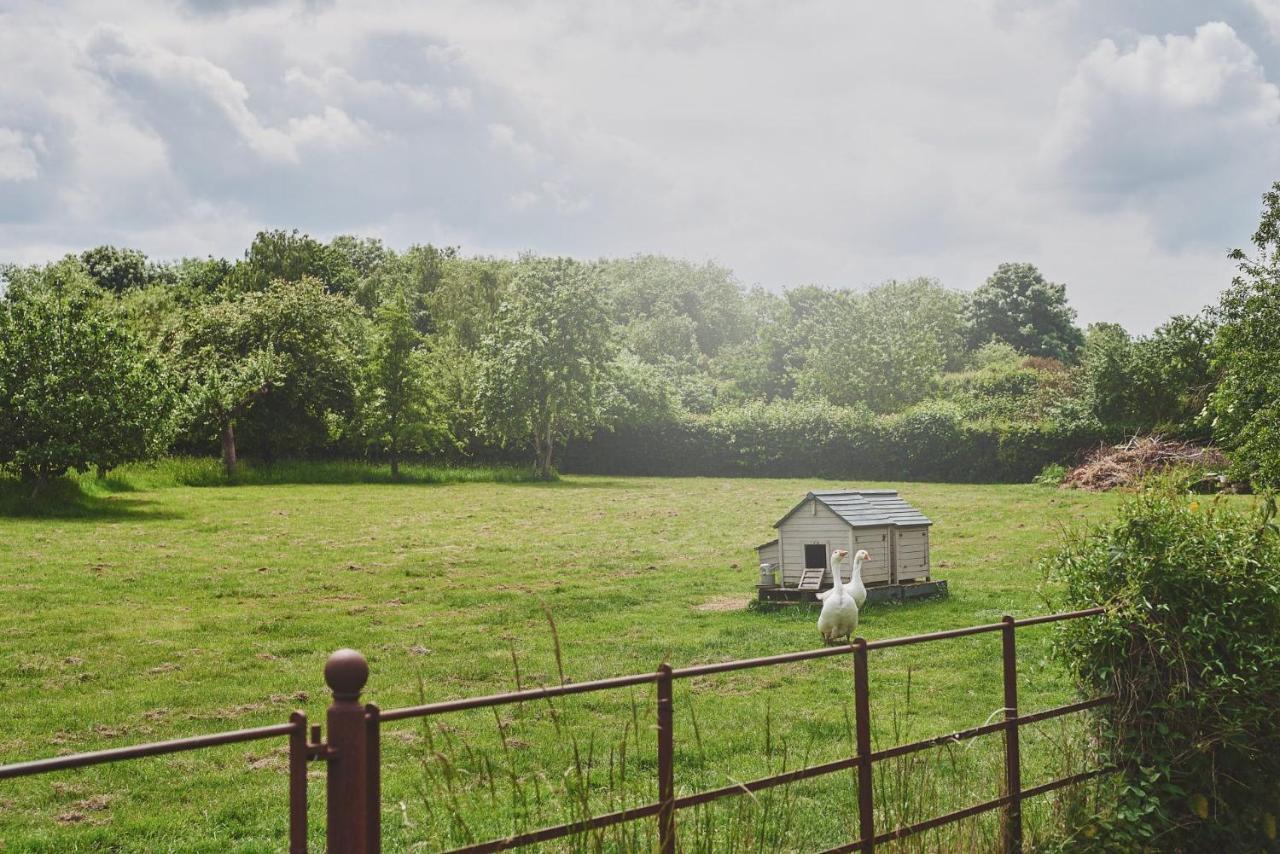 Apple Tree Cottage Beckford Bagian luar foto